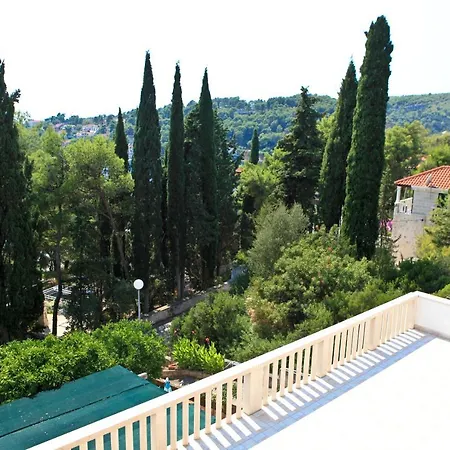 Pinus