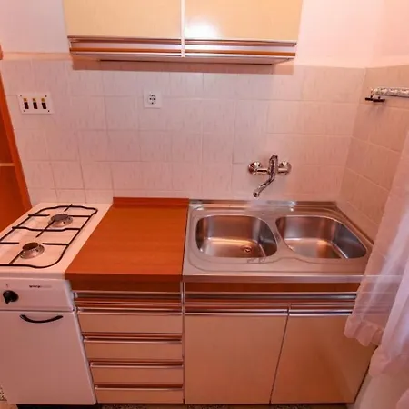 Pinus Guest house *