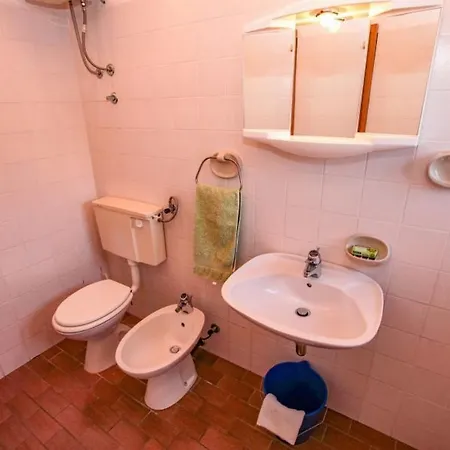 Pinus 3* سومارتين