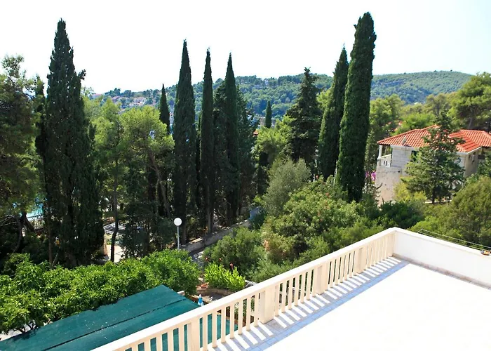 Pinus