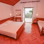 Pinus 3*