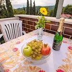 Casa de hóspedes Pinus