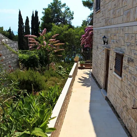 Pinus 3* Sumartin
